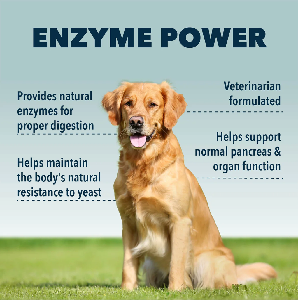 Digest - Digestive Enzymes And Probiotics For Dogs