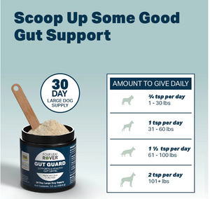 Gut Guard - For Dogs With Irritated Guts