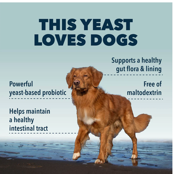 Saccharomyces boulardii - Yeast-Based Probiotics For Dogs