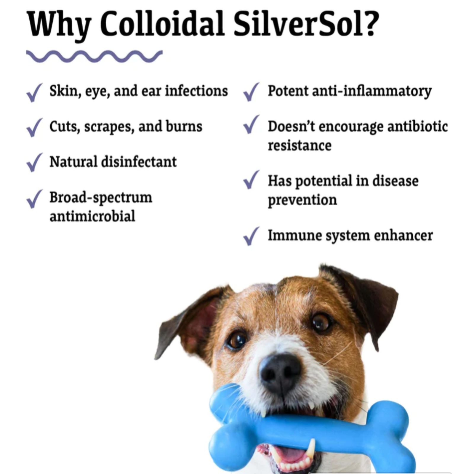 Adored Beast | Colloidal SilverSol